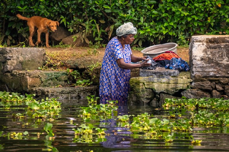 067 Alleppey Backwaters.jpg